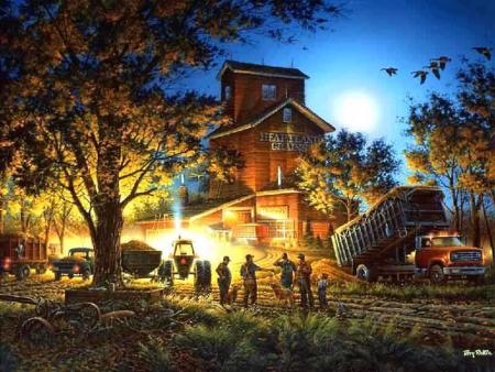 paysage